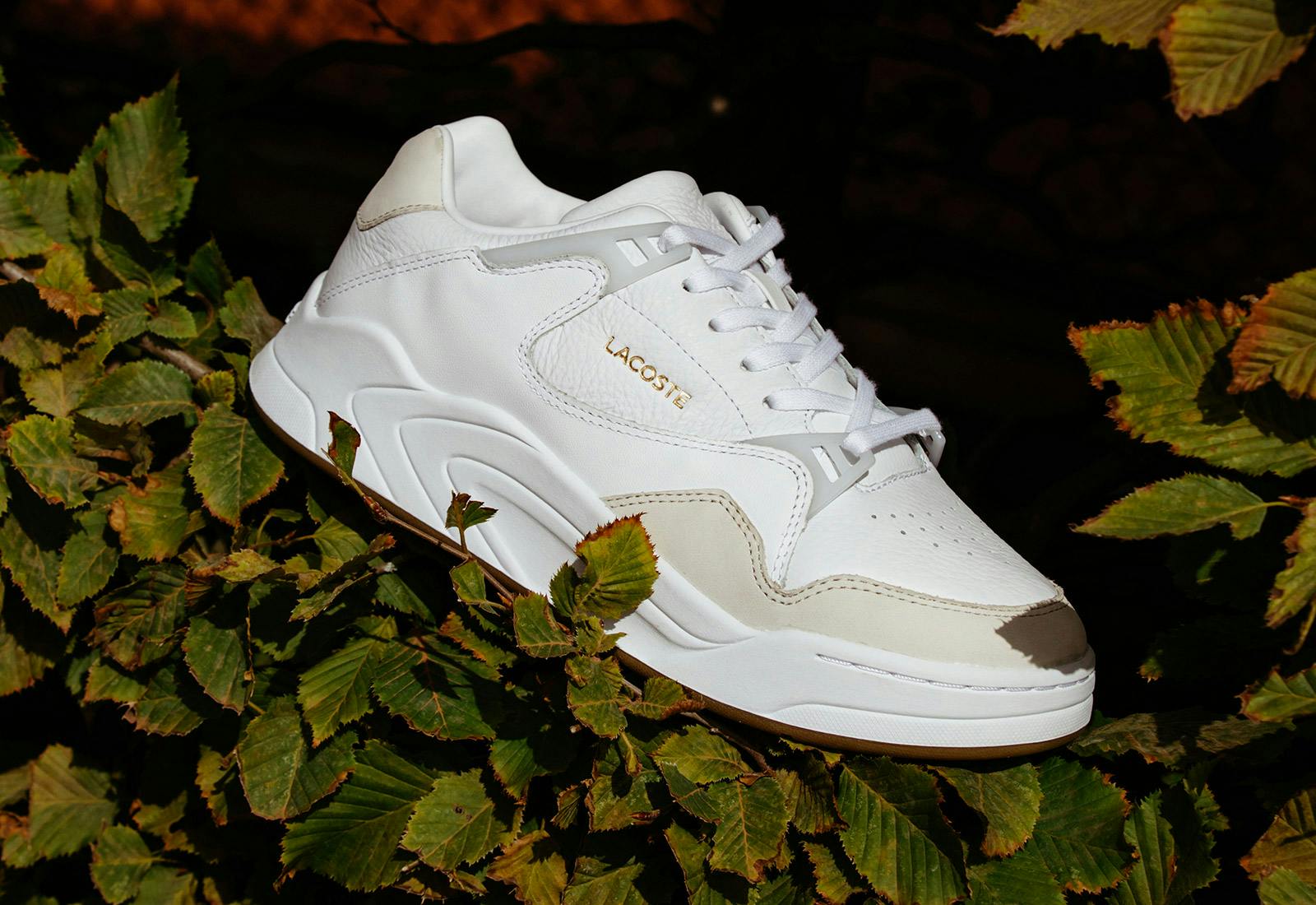 lacoste court sneakers